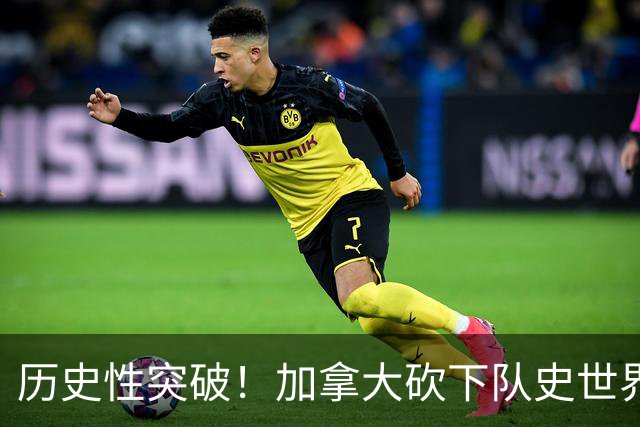 历史性突破！加拿大砍下队史世界杯第1分 此前6战全败